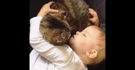 Raznježit će vas: Pogledajte najljepši i najozbiljniji razgovor jedne bebe s mačkom (VIDEO)