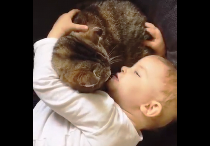 Raznježit će vas: Pogledajte najljepši i najozbiljniji razgovor jedne bebe s mačkom (VIDEO)