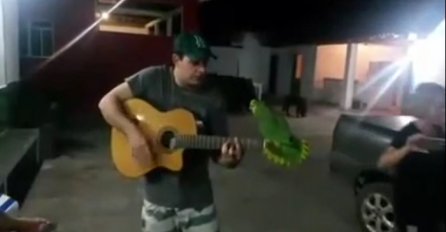 Počeo je svirati gitaru, a kada mu se papiga pridružila, učinili su čudo (VIDEO)