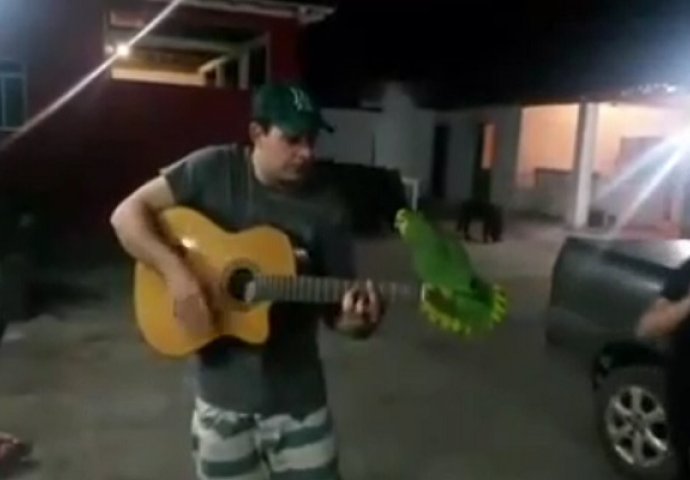 Počeo je svirati gitaru, a kada mu se papiga pridružila, učinili su čudo (VIDEO)