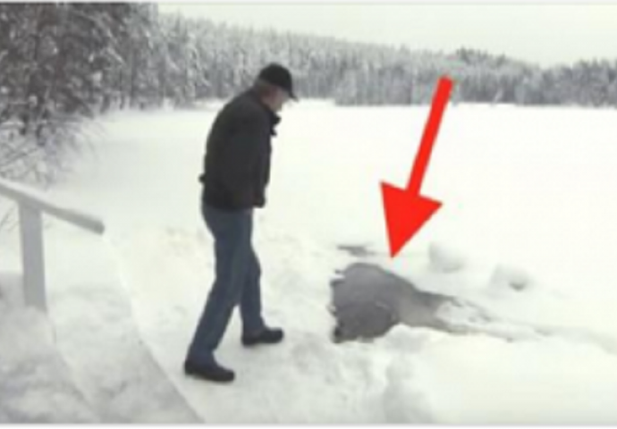Svakog dana čeka svog prijatelja da izađe iz rupe u jezeru, to je nešto što morate vidjeti (VIDEO)
