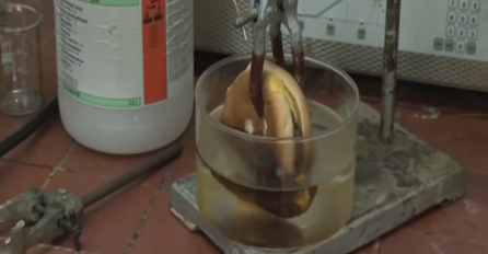Pogledajte šta se desi kada cheeseburger ubacite u stomačnu kiselinu! (VIDEO) 
