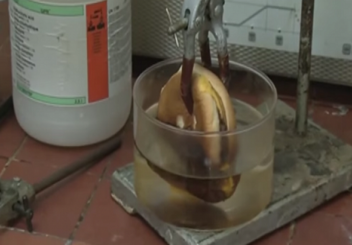 Pogledajte šta se desi kada cheeseburger ubacite u stomačnu kiselinu! (VIDEO) 