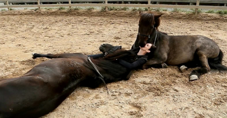Djevojka je legla na pod, a reakcija njena dva konja će vas ostaviti bez riječi! (VIDEO)