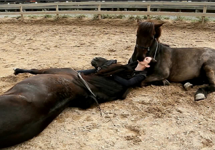 Djevojka je legla na pod, a reakcija njena dva konja će vas ostaviti bez riječi! (VIDEO)