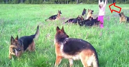 Pogledajte igru ove hrabre djevojčice i 14 njemačkih ovčara (VIDEO)