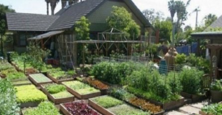 Prije 10 godina su napravili mali vrt, a danas proizvode 2 tone hrane na 400 kvadratnih metara (VIDEO)
