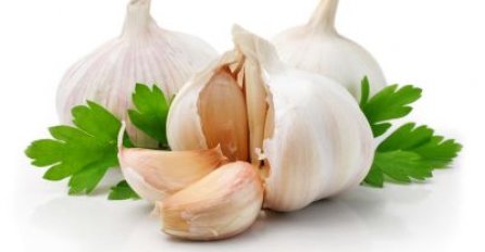 Bijeli luk - LIJEK BUDUĆNOSTI!