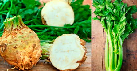 CELER- preporučuje svima koji su na dijetama i žele SMRŠATI