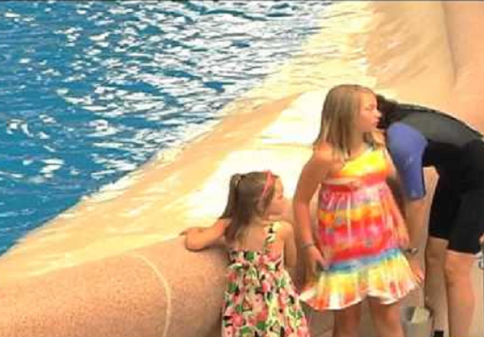 Ove dvije djevojčice su se igrale sa delfinom, a onda se desilo nešto neočekivano (VIDEO)