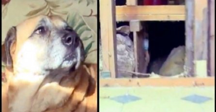 60 dana nakon požara, pas odveo čitavu porodicu u jedan dio kuće kako bi im pokazao ovo (VIDEO)