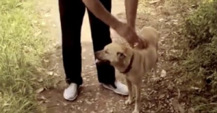 Psa je onjušilo nešto neobično u zemlji: Kada je počeo kopati, njegov vlasnik je ostao u šoku! (VIDEO)