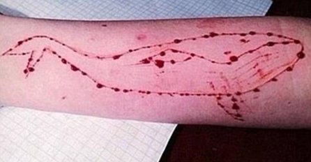 MUP KS-a pozvao na oprez zbog igrice Plavi kit: Povećajte nadzor nad djecom