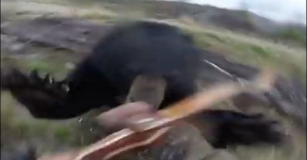 Pogledajte jeziv trenutak kada medvjed obara lovca na tlo (VIDEO)