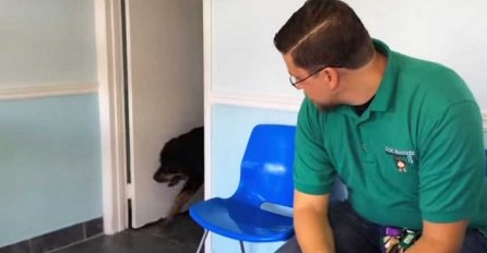 Prije 8 godina je izgubio svog psa, pogledajte kako je reagirao kada su se ponovo sreli! (VIDEO)