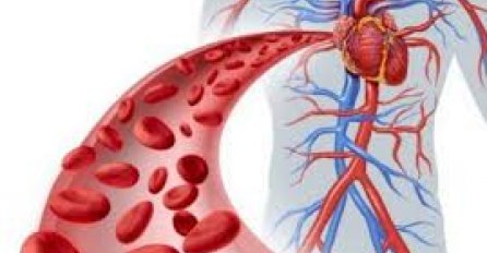 KAKO POTAKNUTI CIRKULACIJU:  Prepoznajte simptome i olakšajte probleme