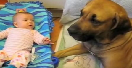 Pas za poželjeti: Beba je kihnula a pas je uradio nevjerovatnu stvar! (VIDEO)