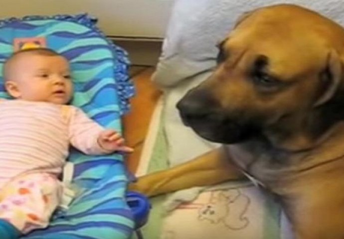 Pas za poželjeti: Beba je kihnula a pas je uradio nevjerovatnu stvar! (VIDEO)