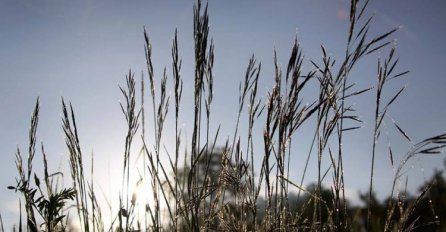 U BiH sutra sunčano uz malu do umjerenu oblačnost