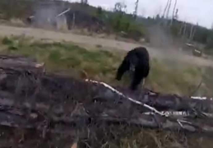 BORBA NA ŽIVOT I SMRT: Kamera snimila napad medvjeda na čovjeka (UZNEMIRUJUĆI VIDEO)