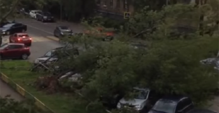 Uragan čupao drveće i semafore, 13 mrtvih (VIDEO)