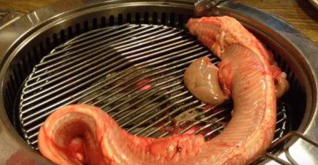 'Specijalitet' oživio na roštilju: Pogledajte ovaj užas i recite da li biste ga pojeli? (VIDEO)