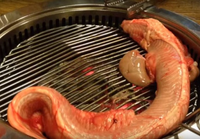 'Specijalitet' oživio na roštilju: Pogledajte ovaj užas i recite da li biste ga pojeli? (VIDEO)