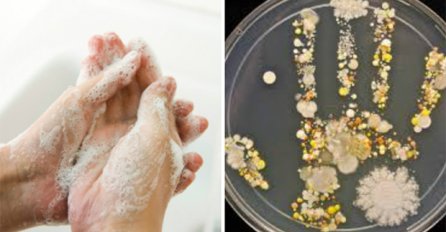 Čak 95 posto ljudi pere ruke pogrešno- ovo je ispravan način!