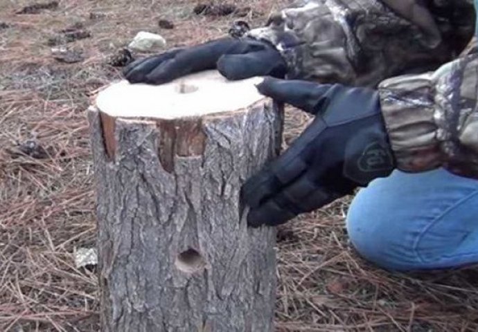 Izbušio je dvije rupe u panju, a ono što je zatim dobio će vas iznenaditi (VIDEO)