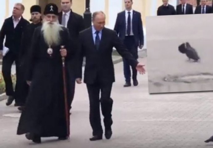 UZVRATILA MU POZDRAV: Svi su vidjeli da je Putin mahnuo golubu, ali Rusi su vidjeli nešto što niko nije! (VIDEO)