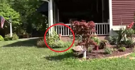 Čuli su glasan vrisak na verandi, nikada nisu očekivali da će pronaći ovo! (VIDEO)