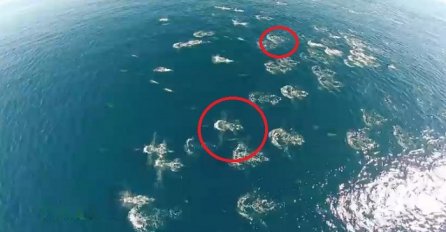 Bespilotna letjelica je snimila rijedak i neobičan prirodni fenomen, pogledajte šta se desilo u oceanu (VIDEO)