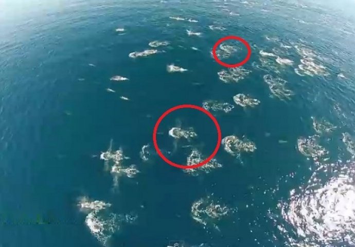Bespilotna letjelica je snimila rijedak i neobičan prirodni fenomen, pogledajte šta se desilo u oceanu (VIDEO)