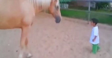 Mrzovoljni konj kao da nikog nije volio, a onda se pojavio jedan veoma poseban dječak (VIDEO)