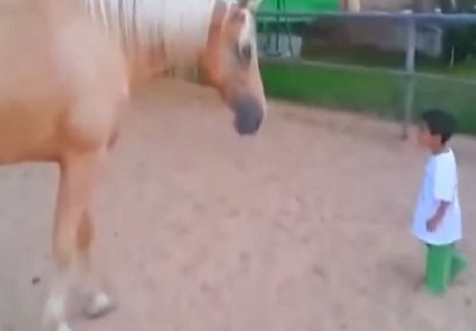 Mrzovoljni konj kao da nikog nije volio, a onda se pojavio jedan veoma poseban dječak (VIDEO)