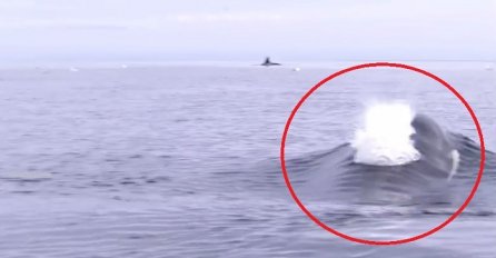 Zastrašujuće i predivno: Isplovio je na more u čamcu, a onda je snimio nešto što će pamtiti cijelog života (VIDEO)