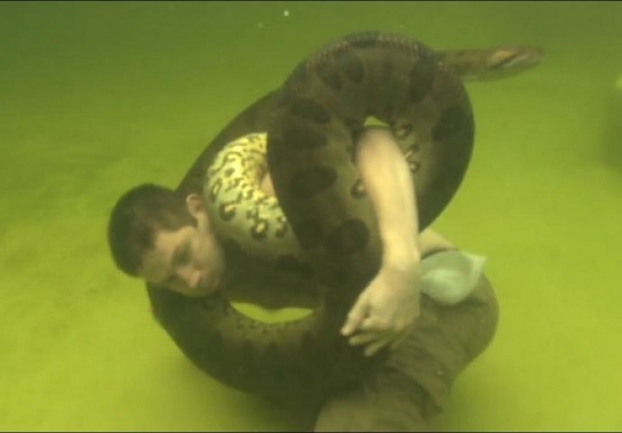 Dok je bio pod vodom oko njega se obmotala 4 metra duga anakonda od 50 kilograma, ovo ćete gledati u jednom dahu! (VIDEO)