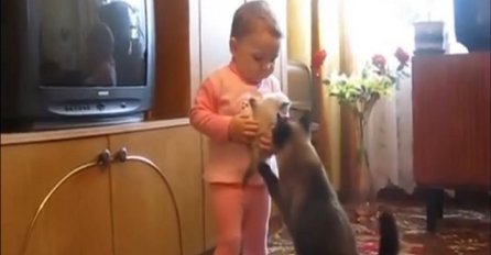 Mačić je plakao u naručju bebe, ali obratite pažnju šta je mama mačka uradila! (VIDEO)
