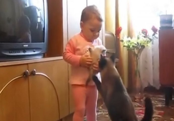 Mačić je plakao u naručju bebe, ali obratite pažnju šta je mama mačka uradila! (VIDEO)