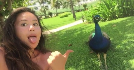 Željela je da napravi selfie sa paunom u zoološkom vrtu, nakon ovoga neće više nikad (VIDEO)