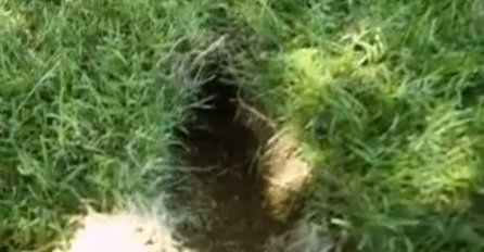Čovjek je odlučio provjeriti rupu u svome dvorištu, ono što je pronašao je bilo neprocjenivo! (VIDEO)