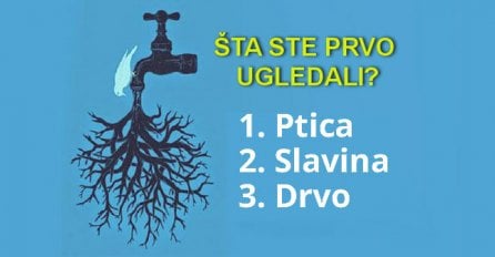 ŠTA SE PRVO UGLEDALI NA OVOJ SLICI? Ovaj test otkriva ono što krijete duboko u sebi