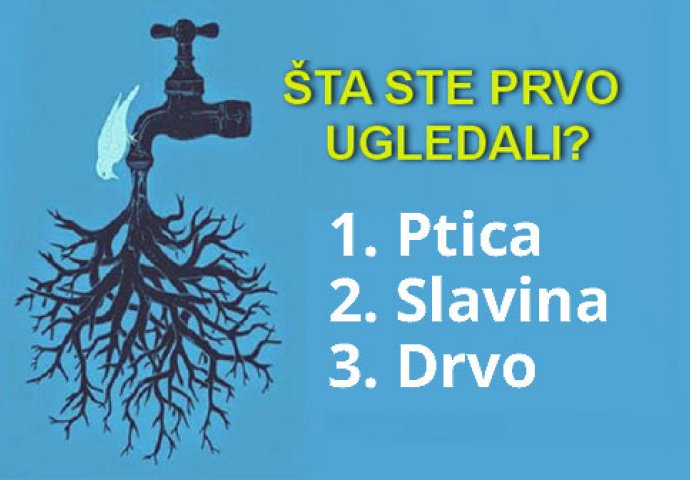 ŠTA SE PRVO UGLEDALI NA OVOJ SLICI? Ovaj test otkriva ono što krijete duboko u sebi