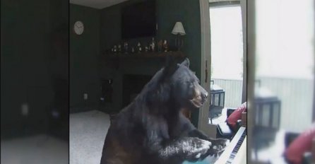 Medvjed je provalio u njihovu kuću, a ono što je nadzorna kamera snimila će vas ostaviti u nevjerici! (VIDEO)