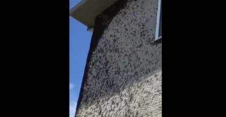 ZATEKLI SCENU KAO IZ NAJJEZIVIJEG HORORA:  Zidovi kuće su se pretvorili u pakao (VIDEO)