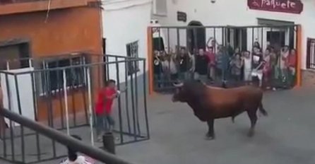 Čovjek u crvenoj majici ušao u čelični kavez i počeo izazivati bika, sljedećeg trenutka svi su počeli vrištati! (VIDEO)