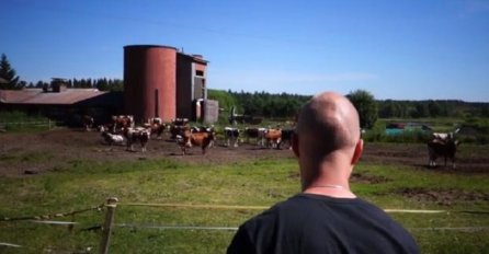Pogledajte kako šaptač životinjama priziva krdo krava (VIDEO)