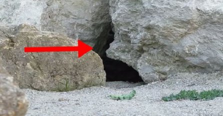 Postavili su kameru ispred pećine a ono što su snimili ostavit će vas bez teksta (VIDEO)