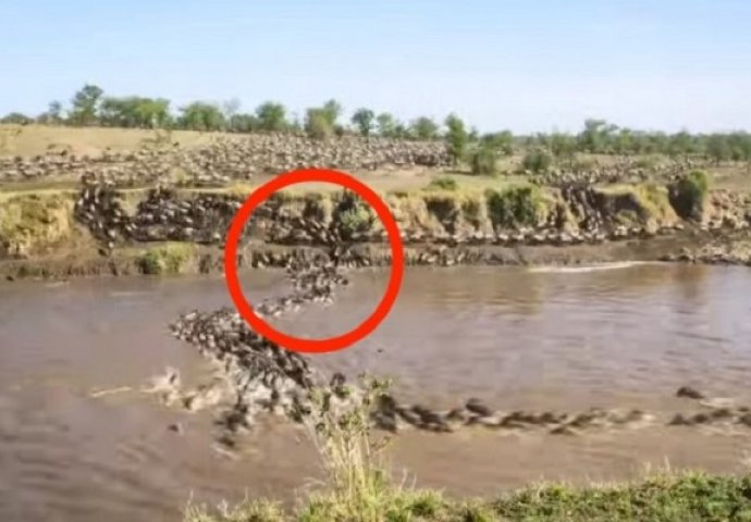 Postavio je kameru pokraj rijeke, ono što je snimio nikada neće zaboraviti (VIDEO)