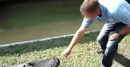 Udarao je krokodila po njušci i gurao mu ruku u usta, pogledajte kako mu je životinja odgovorila! (VIDEO)